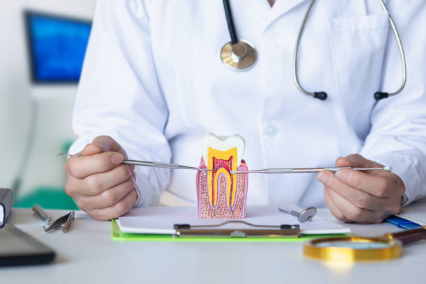 Best Chipped Tooth Repair Near Me  in Crenshaw, MS